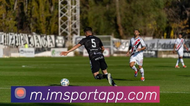 IM足球体育平台生态图