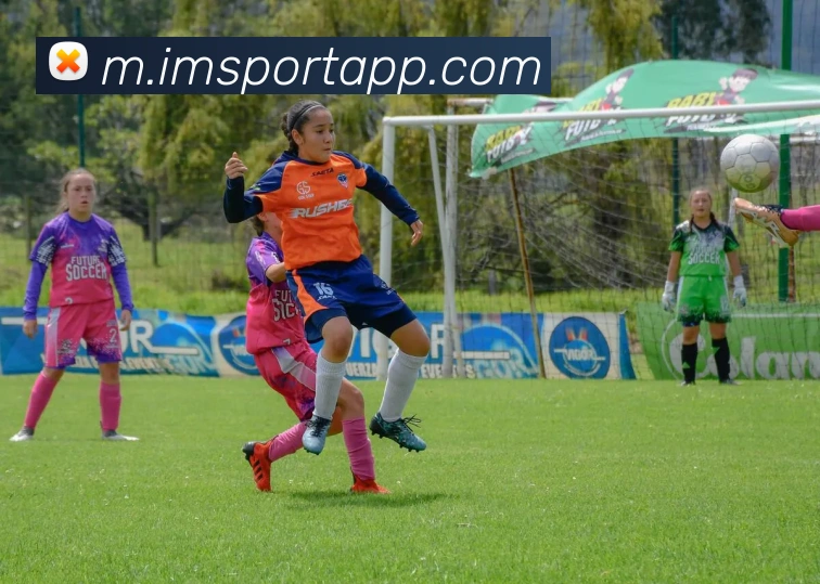 IM足球体育APP 封面图